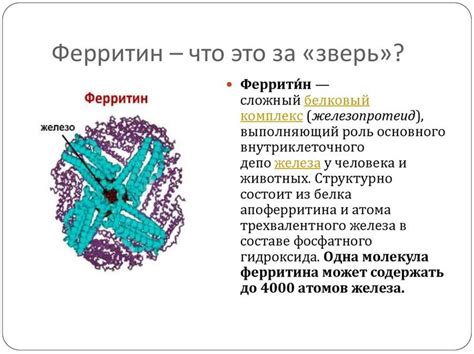 Пониженный уровень Т3 у женщин