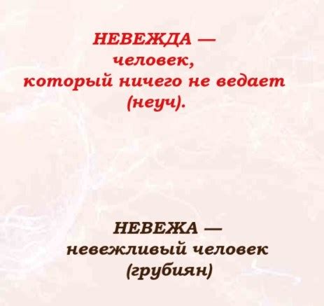 Понятие "невежа"