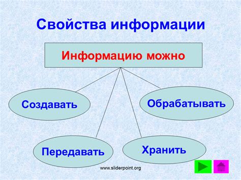 Понятие организации в информатике