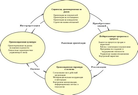 Понятие рыночной ориентации в современном бизнесе
