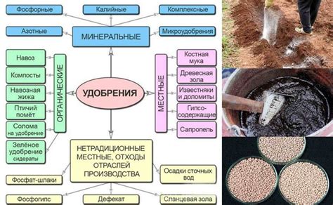 Популярные виды удобрений для эустомы