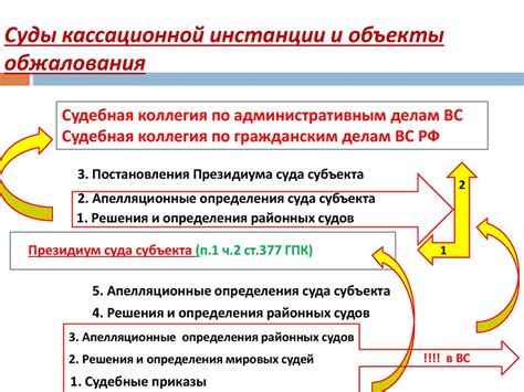 Порядок подачи и регистрации кассационной жалобы в суде