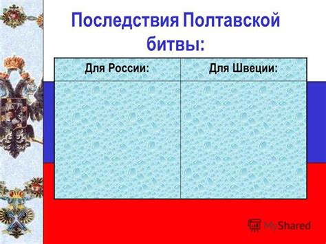 Последствия битвы для России и Швеции