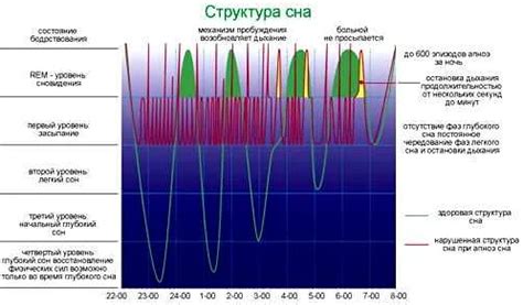 Последствия глубокого и широкого расширения борозд