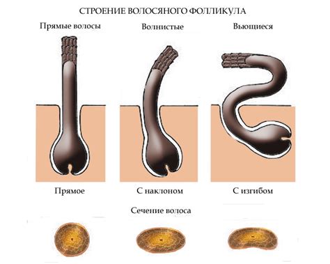 Последствия и риски после удаления волоса с корнем