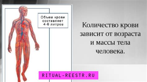 Последствия падения ножа: потеря крови