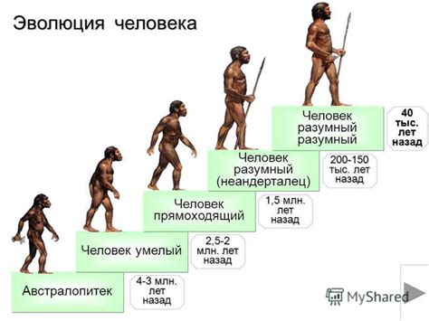 Последствия сдачи назад и сбивания человека