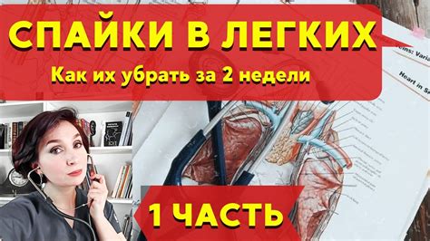 Последствия спайки на легком