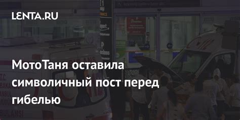 Поступки перед гибелью