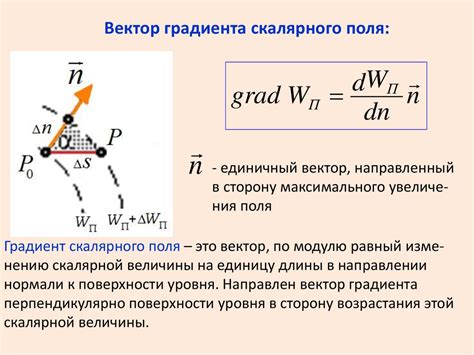 Потенциальная энергия и ее связь с силами упругости и гравитации