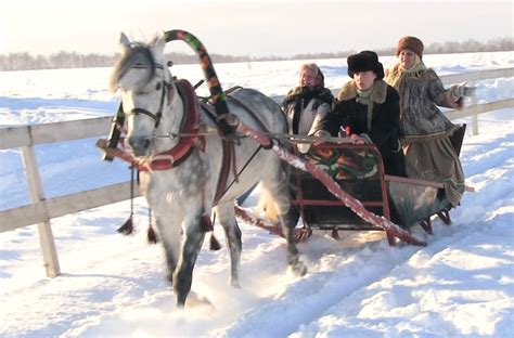 Потеря традиций: исчезание ирисов в русской культуре