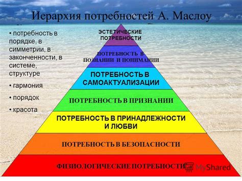 Потребность в понимании и разумной глубине