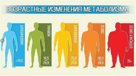 Почему важно контролировать гормональный фон?