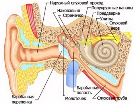 Почему из уха идет воздух? Что это может означать?