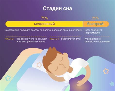 Почему сны важны для человека?