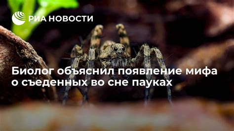 Появление глистов во сне