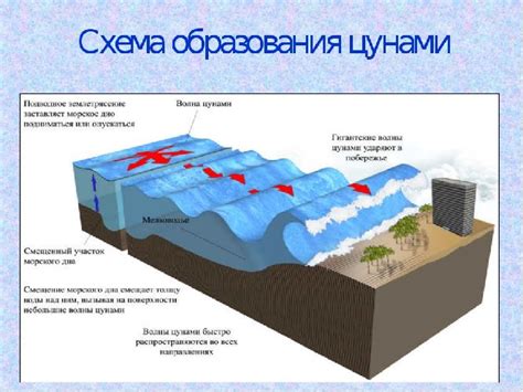 Появление и причины возникновения