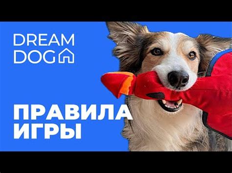 Правила игры с щенком