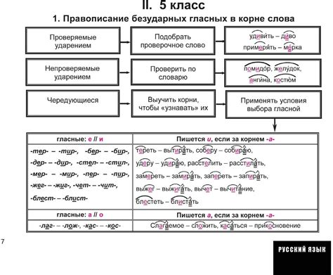 Правила орфографии 7 класс Ладыженская