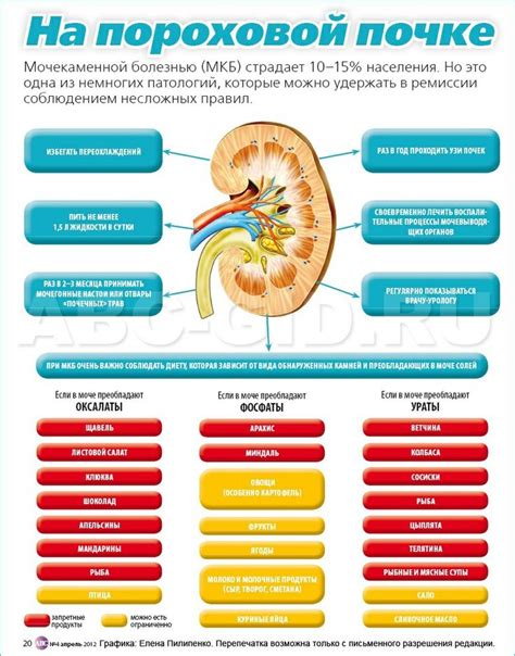 Правильное питание при коликах в почках