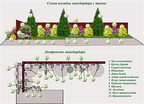 Практичные и красивые растения для посадки у забора