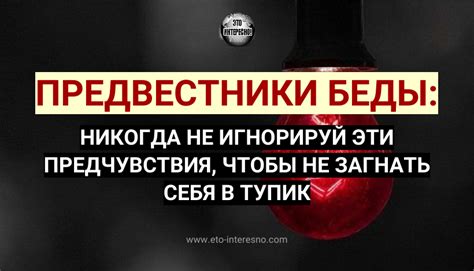 Предвестники счастья или беды?