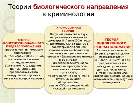 Предмет криминологии: определение и значение