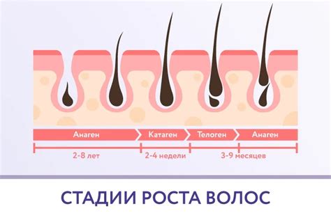 Предупреждение роста волос на груди