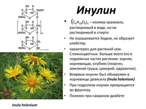 Преимущества инулина для детского организма