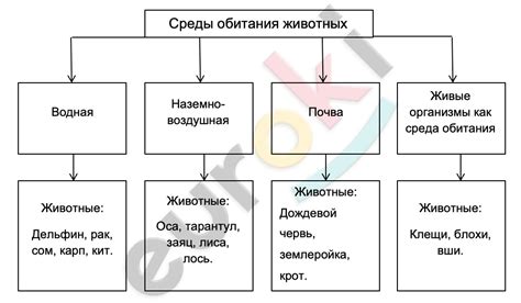 Преимущества и недостатки использования сортов в биологии 7 класс