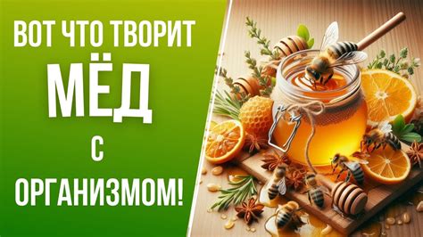 Преимущества меда для организма