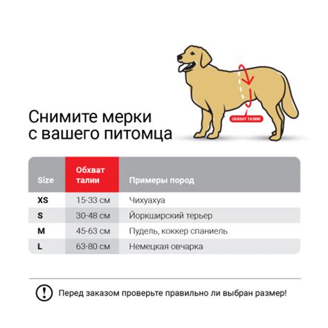 Преимущества пояса для кобелей