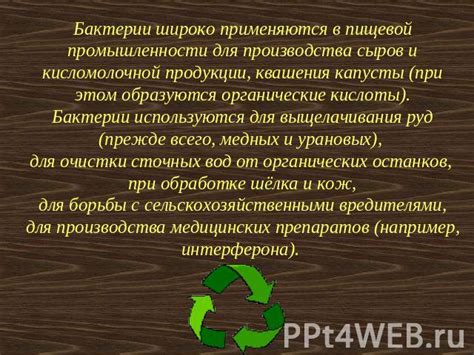 Преимущества применения консервантов в линакве