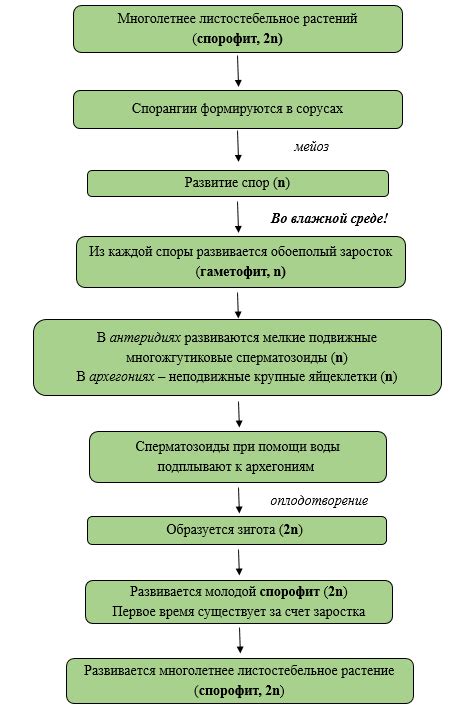 Преобладание суровых судьбосложений