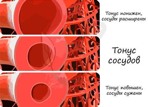 Препятствование обратному току