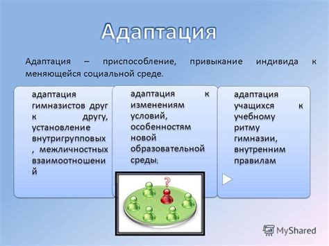 Привыкание к новой среде