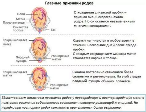 Признаки настоящих схваток у повторнородящих