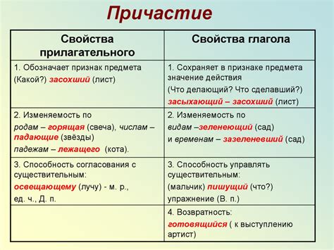 Признаки причастия полного