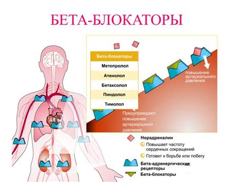 Применение бета-блокаторов в спорте: эффекты и риски