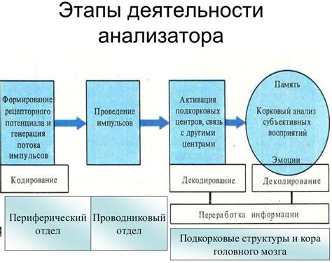 Применение в сенсорных системах