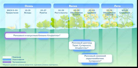 Применение инсектицидов и фунгицидов