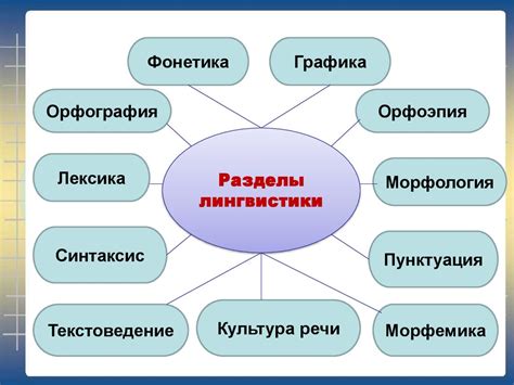 Применение лингвистики в изучении русского языка