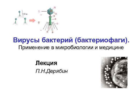 Применение микробиологии в науке и практике