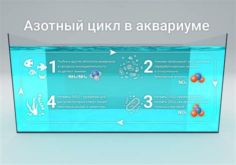 Применение сокращенного азотного цикла для улучшения питательности почвы