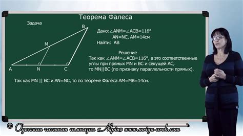 Применение теоремы Талеса