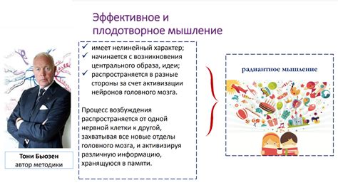 Применение фенологии в образовательном процессе