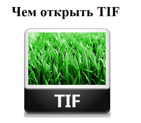 Применение формата tif и tiff