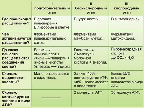 Примеры аэробных организмов