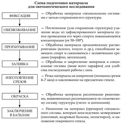 Примеры биологических систем в реальном мире