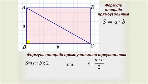 Примеры вычисления площади квадрата